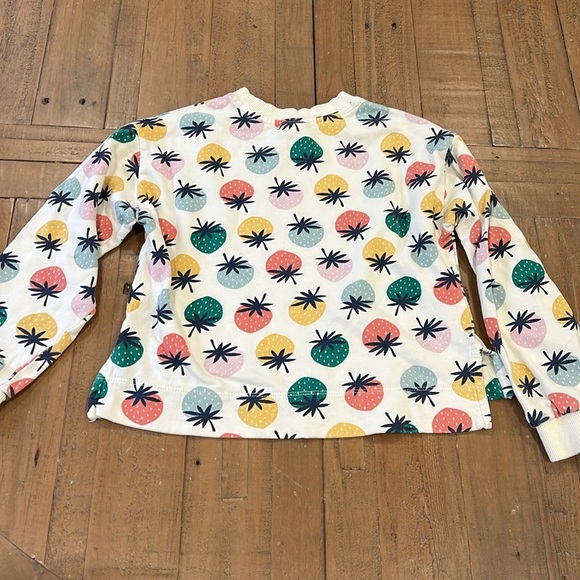 Hanna Andersson rainbow strawberry crewneck cropped sweatshirt 6-7 years - Picture 5 of 6